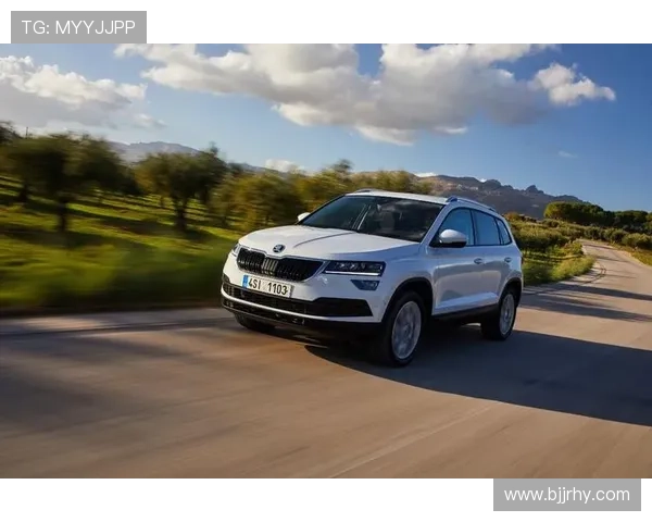 12w级别纯正德系SUV，感受柯珞克的实用主义浪漫